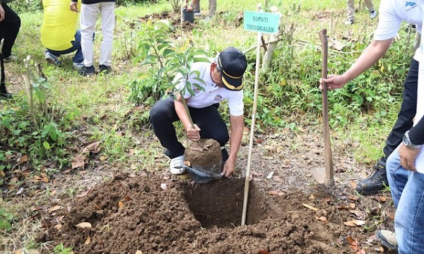 Hari Desa Asri Nusantara, Pemkab Trenggalek Tanam 50 Ribu Bibit Pohon