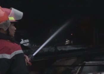 Pabrik Pembesaran Ayam di Jombang Kebakaran