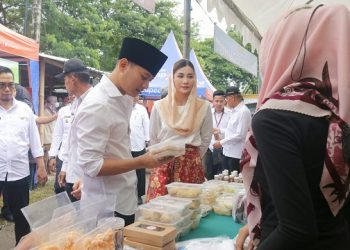 Novita Hardini Ajak Pelaku UMKM Optimalkan Manfaat Teknologi
