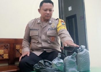 COD di SLG, Pengedar Serbuk Petasan Diringkus Polisi