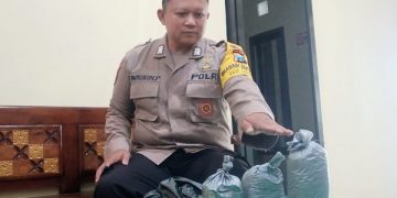 Polisi menunjukkan barang bukti serbuk petasan yang diamankan dari AM. Foto: Bacaini/AK.Jatmiko