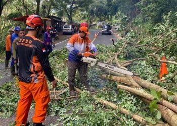 Hati-hati, Jalur Trenggalek-Ponorogo Masih Rawan Longsor