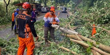Sistem buka tutup jalan saat dilakukan pembersihan material longsor di jalur Trenggalek-Ponorogo. Foto: Bacaini/Aby