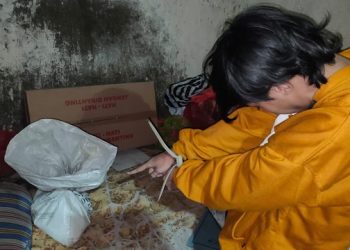 Polisi Gagalkan Pengiriman 5 Kg Bubuk Mercon ke Kediri