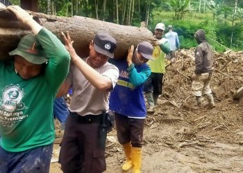 Material Kayu Gelondongan Tersapu Banjir di Ngantang