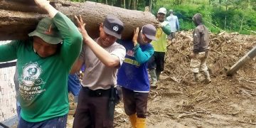 Material kayu gelondongan yang terbawa banjir bandang di Ngantang. Foto: Polsek Ngantang
