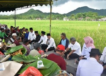 Lahan Menyempit, Bupati Arifin Ajak Petani Tekan Biaya Produksi