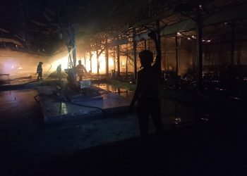 Petugas Damkar Berupaya memadamkan api. Foto:bacaini/AK. Jatmiko