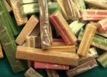 Suwar Suwir Makanan Khas Jember Yang Wajib Dibawa Pemudik