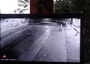 Foto Muda Mudi Bermesraan di Taman Brantas Bikin Geger Warganet