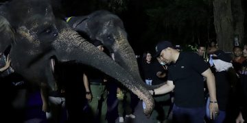 Eri Cahyadi hadiri Trial Opening Surabaya Night Zoo. Foto: Istimewa