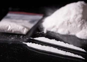 BNN Sergap Truk Bawa 100 Kg Sabu di Nganjuk