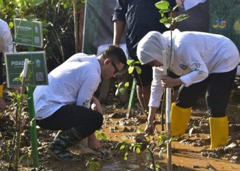 Festival Mangrove ke-4 Jatim Digelar di Trenggalek