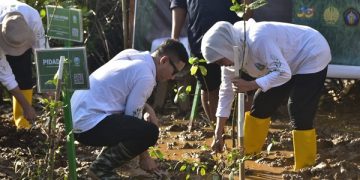 Gubernur Khofifah menanam mangrove bersama Bupati Arifin. Foto: Bacaini/Aby