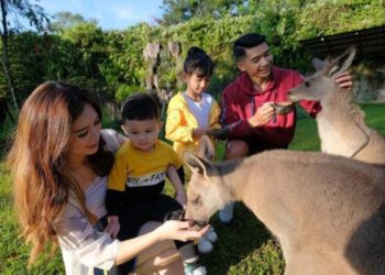 Harga Tiket dan Promo Terbaru di Taman Safari Prigen