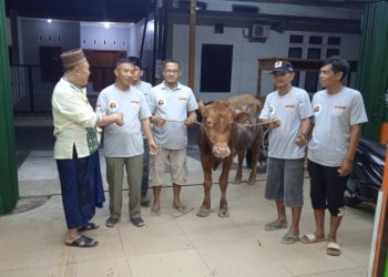 Antisipasi Daging Tak Layak Konsumsi, DKPP Sidak Lokasi Penyembelihan Kurban