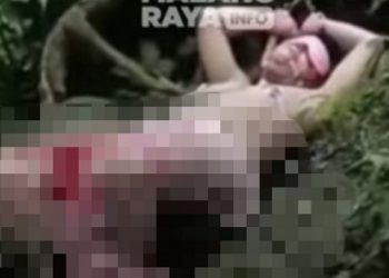 Mahasiswa KKN Syok Lihat Pria Berpakaian Film Porno di Tengah Hutan