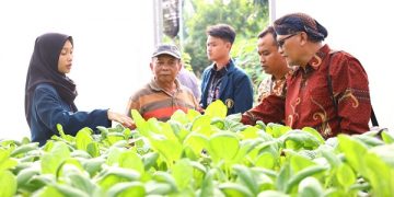 Studi tiru Kelurahan Kalipang di Kampung Keren Kelurahan Burengan. Foto: Ist