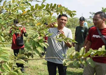 Dulu Sampah Menumpuk, Kampung Tani Kota Kediri Kini Lebih Indah