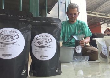 Sensasi Beda Kopi Biji Kurma, Murah dan Menyehatkan