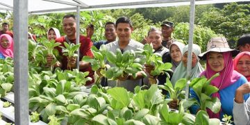 Wali Kota Kediri di Kampung Tani Jamsaren. Foto: Ist