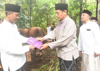 Penyerahan sapi kurban dari Wali Kota Kediri untuk Masjid Assa'adah Banjaran. Foto: Ist