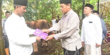 Penyerahan sapi kurban dari Wali Kota Kediri untuk Masjid Assa'adah Banjaran. Foto: Ist