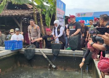 Ikut Panen Lele di Kediri, Khofifah Dorong Varian Olahan Lele untuk Cegah Stunting