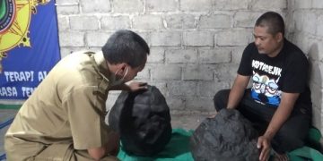 Petugas Disporabudpar Nganjuk meninjau dua buah batu diduga meteorit temuan Suprianto. Foto: Bacaini/Asep Bahar