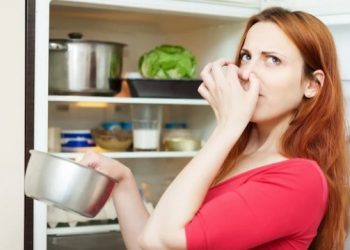 Cara Menghilangkan Bau Busuk Dalam Kulkas