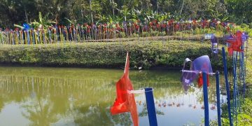 Kitiran warna-warni di Widoro Fish Garden Trenggalek. Foto: Bacaini/Aby