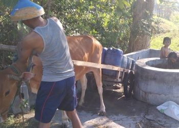 Demi Air Bersih, Warga di Bangkalan Rela Jalan Kaki 3 Kilometer