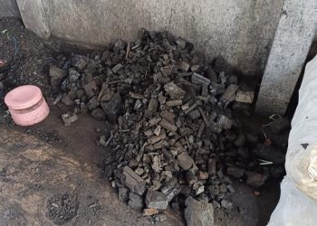 LPG Subsidi Langka, Pemburu Arang di Kediri Meningkat