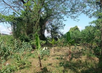 Kesaksian Warga Yang Tinggal di Dekat Kuburan Dempul