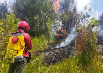 Kebakaran Taman Nasional Bromo Belum Padam