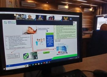 Kegiatan Sosialisasi Kemudahan Akses Layanan Program JKN-KIS secara daring. Foto: Ist