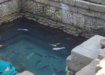 Mitos Ikan Lele Gaib Penunggu Kolam Candi Penataran