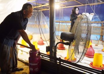 Upaya Mas Dhito, Ratusan Peternak Beralih Elpiji Non Subsidi