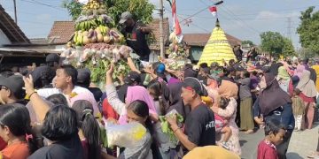 Ratusan warga berdesakan berebut gunungan tahu dan hasil bumi di Desa Toyoresmi. Foto: Bacaini/AK.Jatmiko