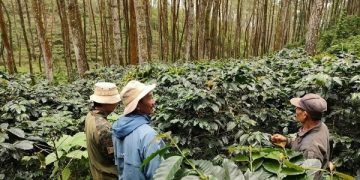 Tim Pro Fauna Indonesia saat patroli satwa di kawasan Gunung Pucung. Foto: Profauna