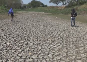 40 Hektare Sawah di Jombang Terdampak Keringnya Waduk Brumbung