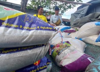 Harga Gabah Melonjak, Harga Beras di Tulungagung Ikut Naik