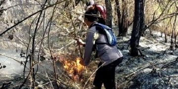 Salah satu titik api yang masih menyala di lereng Gunung Arjuno. Foto: Polres Malang