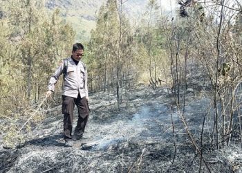 Polisi Cari Pemburu Liar, Biang Kebakaran di Lereng Gunung Arjuno
