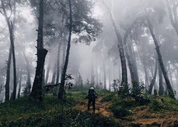 Kisah Horor Pendaki Dengar Suara Gamelan di Gunung Butak