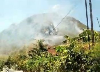 Hutan Lindung Gunung Budeg Tulungagung Diduga Dibakar 4 Kali, Polisi Buru Pelaku