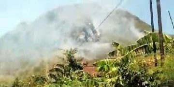 Hutan Lindung Gunung Budeg Tulungagung Diduga Dibakar 4 Kali, Polisi Buru Pelaku