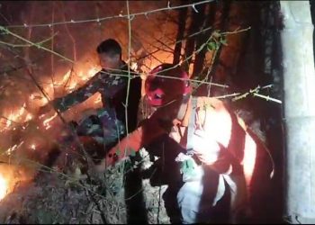 Kebakaran Hutan Gunung Orak Arik Trenggalek Ancam Permukiman Warga 