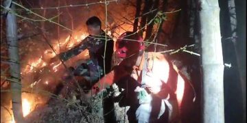 Kebakaran Hutan Gunung Orak Arik Trenggalek Ancam Permukiman Warga