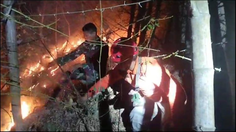 Kebakaran Hutan Gunung Orak Arik Trenggalek Ancam Permukiman Warga